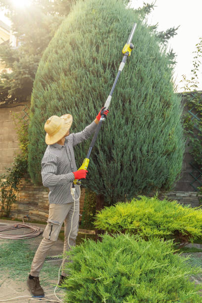 Lawn Drainage Solutions in Durham, CA